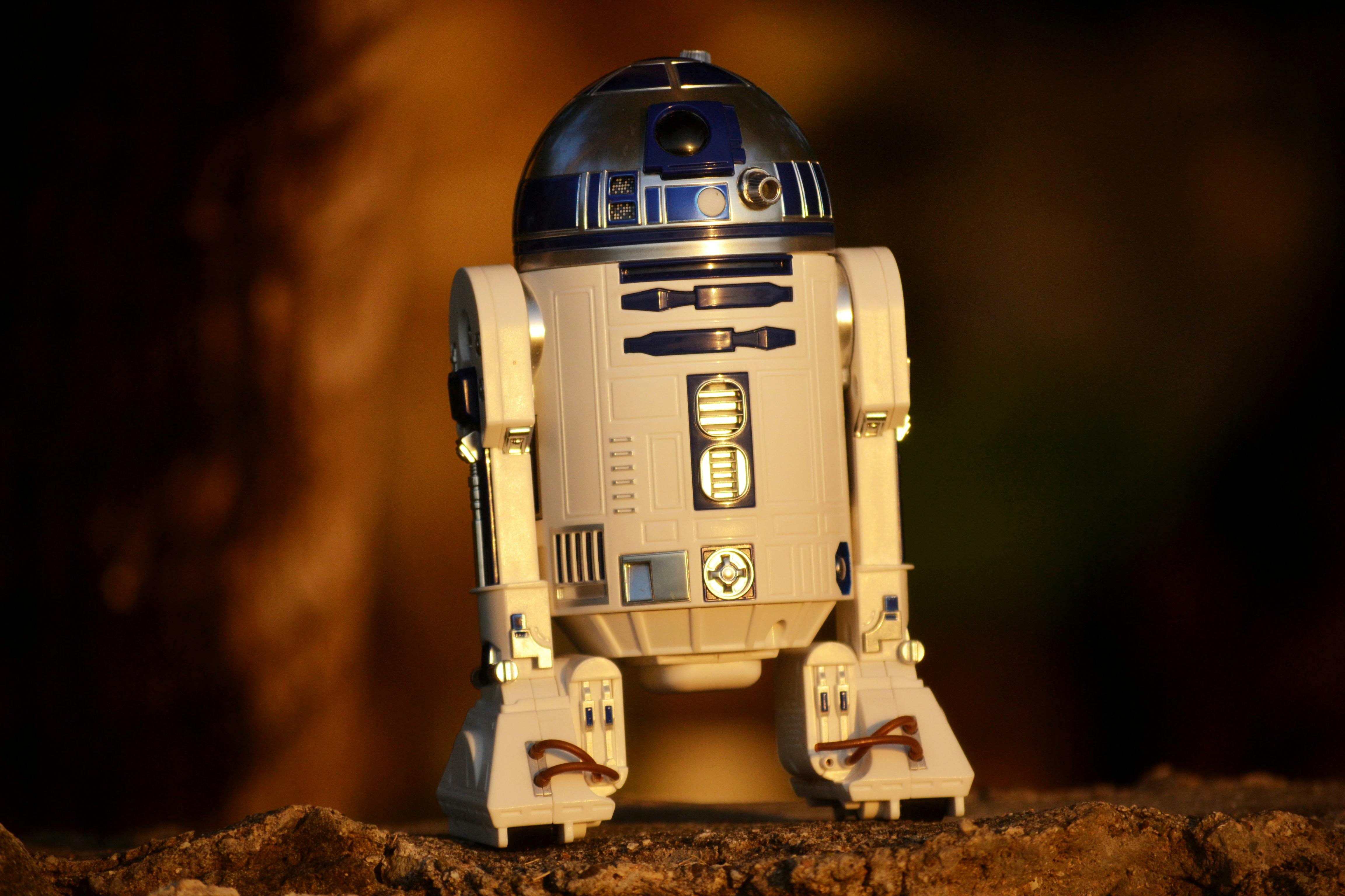 Robotik Yazılım Eğitimi